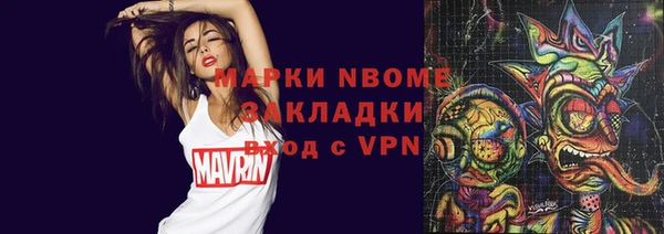 индика Алексин