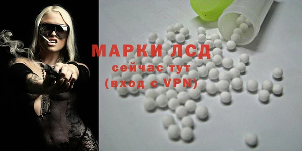 индика Алексин