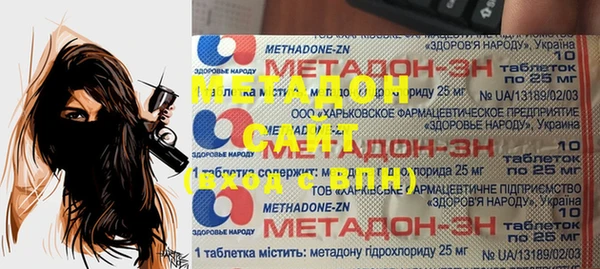 индика Алексин