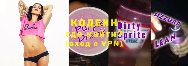 индика Алексин
