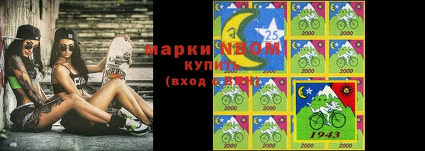 индика Алексин