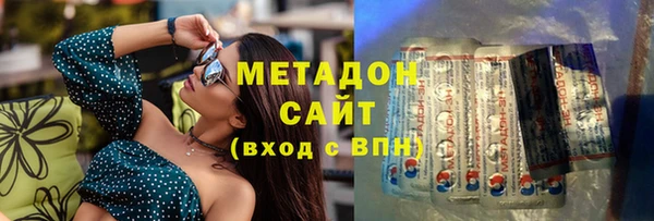 индика Алексин