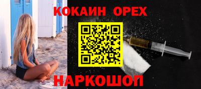 сатива Славгород