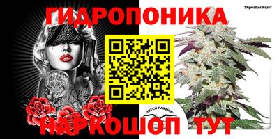 хмурый Сланцы