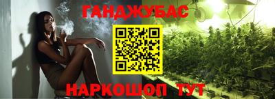 хмурый Сланцы