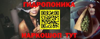 хмурый Сланцы