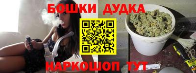 сатива Славгород