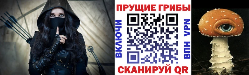Галлюциногенные грибы ЛСД  Тосно 