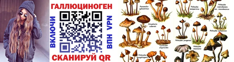 Галлюциногенные грибы мицелий Тосно