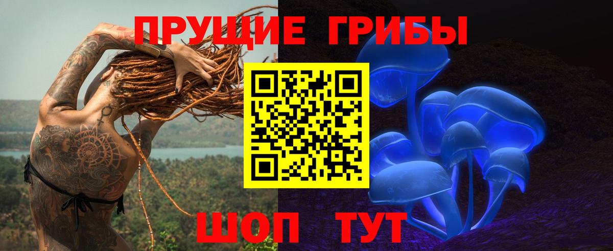 Псилоцибиновые грибы Psilocybine cubensis  Вход с VPN  Тосно 