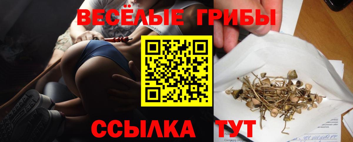Галлюциногенные грибы Psilocybe Тосно