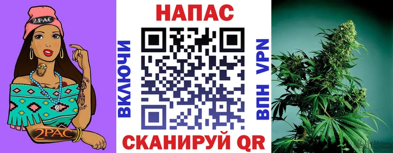 купить наркотики сайты  Тосно  кракен сайт  Шишки марихуана OG Kush 